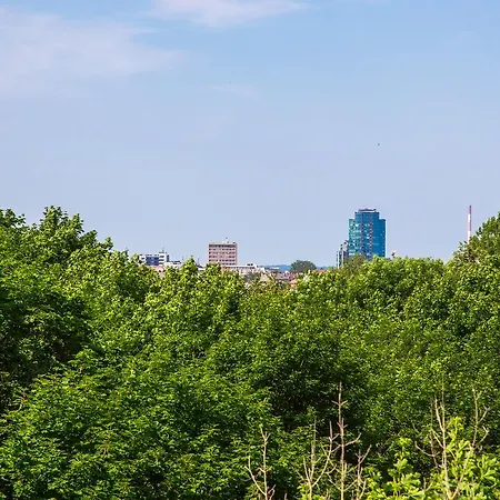 Cosy & Spacious In Artistic District * Vilnius
