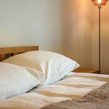 Lejlighed Cosy & Spacious In Artistic District Vilnius