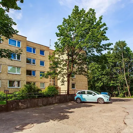 Cosy & Spacious In Artistic District * Vilnius
